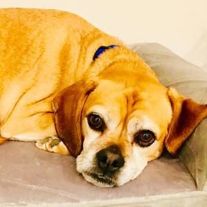 Meet your Posher, Sherri